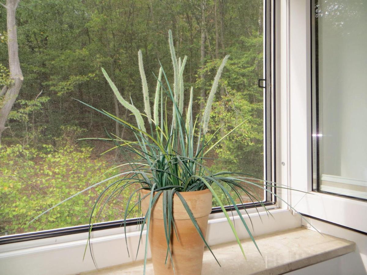 Weisses-Haus-Am-Kurpark-Fewo-Waldblick كيدلينبورغ المظهر الخارجي الصورة